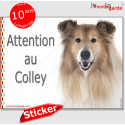 Colley, autocollant "Attention au Chien" 16 x 12 cm