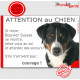 Bouvier Suisse Appenzell tête, plaque portail "Jetez Vous au Sol, Attention au Chien" pancarte panneau humour drôle photo