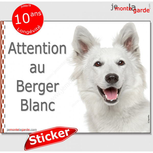 Berger Blanc Suisse, panneau autocollant "Attention au Chien" Pancarte photo sticker adhésif