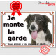 Border Collie brun et blanc Tête, plaque portail "Je Monte la Garde, risques et périls" panneau pancarte marron foie photo