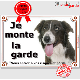 Border Collie chocolat et blanc, plaque portail "Je Monte la Garde, vous entrez à vos risques et périls" marron foie photo, rési