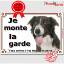 Border Collie brun, plaque "Je Monte la Garde" 24 cm LUX