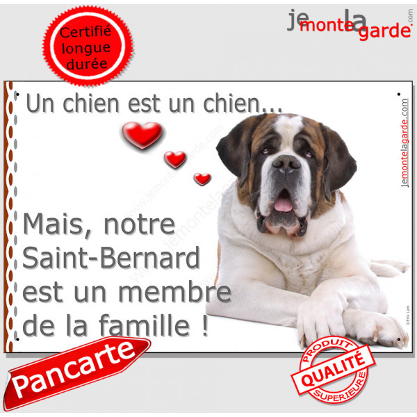Saint-Bernard Couché, Plaque Portail un chien est un chien, membre de la famille, pancarte, affiche panneau st-bernard
