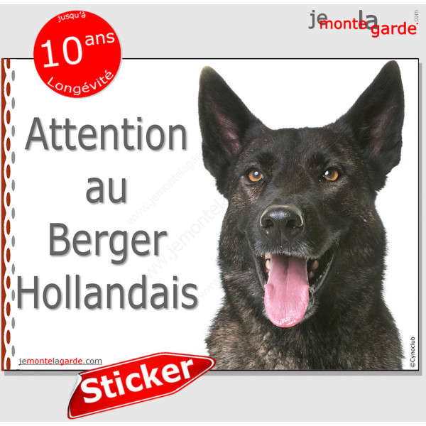 Berger Hollandais poils courts, panneau autocollant "Attention au Chien" pancarte sticker photo portail entrée boîte lettres adh