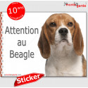 Beagle, autocollant "Attention au Chien" 16 cm