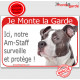 Am-Staff Bleu Tête, Plaque Portail rouge "Je Monte la Garde, surveille protège" pancarte, affiche panneau amstaff photo