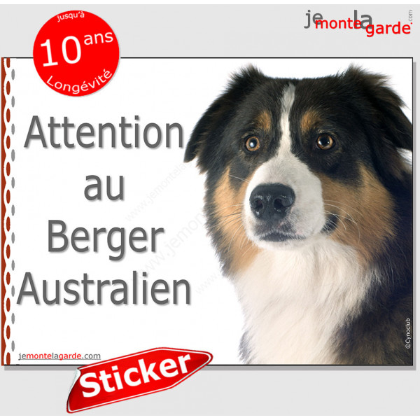 Berger Australien tricolore noir, panneau autocollant "Attention au Chien" pancarte affiche photo Aussie sticker