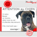 Boxer, plaque portail humour "Jetez Vous au Sol, Attention au Chien" 24 cm JET