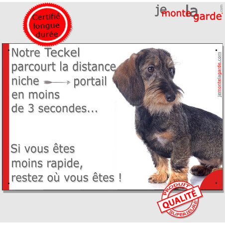Teckel sanglier Poils Durs Assis, plaque photo humour "parcourt la distance niche portail en moins de 3 secondes"