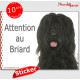 Briard noir, Panneau autocollant "Attention au Chien" Pancarte sticker photo adhésif Berger de Brie