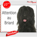 Briard noir, autocollant "Attention au Chien" 16 x 12 cm