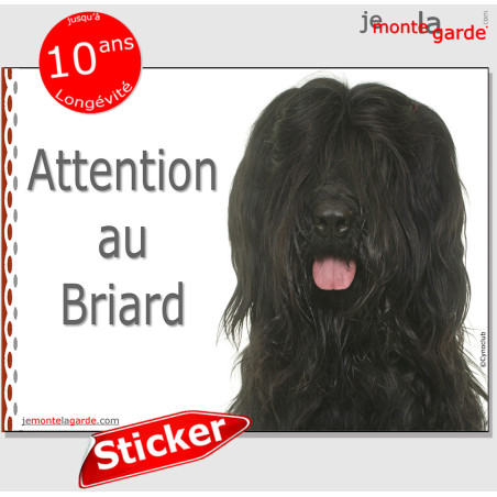 Briard noir, autocollant "Attention au Chien" 16 x 12 cm Briard noir, autocollant "Attention au Chien" 16 x 12 cm