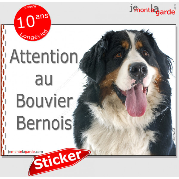 Bouvier Bernois, panneau autocollant "Attention au Chien" Pancarte photo sticker adhésif race plaque portail entrée porte boite 