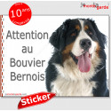 Bouvier Bernois, autocollant "Attention au Chien" 16 x 12 cm