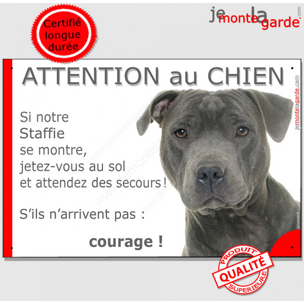 Staffie gris bleu, plaque humour "Jetez Vous au Sol, Attention au Chien, courage" pancarte panneau bull staffordshire terrier