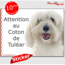 Coton de Tuléar, autocollant "Attention au Chien" 16 cm