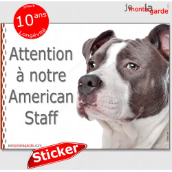 Amstaff, panneau autocollant "Attention au Chien" pancarte sticker adhésif photo American Staffordshire Terrier gris bleu