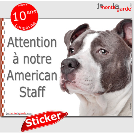 Amstaff bleu, autocollant "Attention au Chien" 16 cm Amstaff bleu, autocollant "Attention au Chien" 16 cm