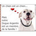 Plaques 16 cm LOVE, Membre de la Famille, Dogue Argentin Gentil Tête