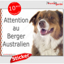 Aussie, autocollant photo "Attention au Chien" 16 cm