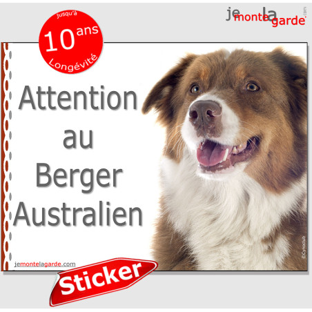 Aussie, autocollant photo "Attention au Chien" 16 cm Aussie, autocollant photo "Attention au Chien" 16 cm