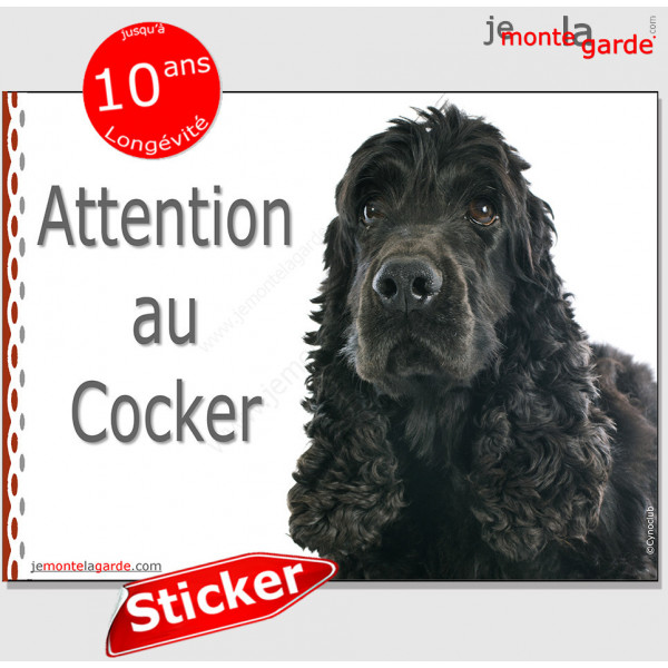 Cocker Anglais Spaniel tout noir, panneau autocollant "Attention au Chien" Pancarte photo sticker adhésif entièrement noire