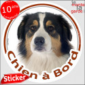 Berger Australien Tricolore Noir, disque voiture "Chien à Bord" 2 tailles D