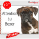 Boxer bringé, panneau autocollant "Attention au Chien" pancarte photo, sticker adhésif race
