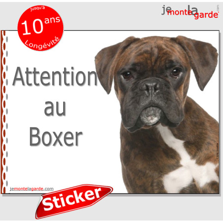 Boxer bringé, autocollant "Attention au Chien" 16 cm Boxer bringé, autocollant "Attention au Chien" 16 cm