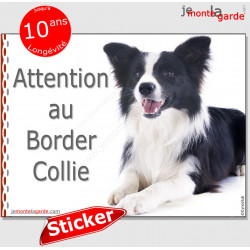 Border Collie noir et blanc poils longs, panneau autocollant "Attention au Chien" pancarte sticker adhésif photo