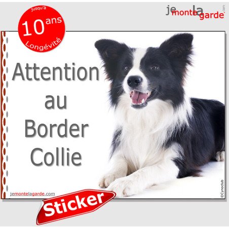 Border Collie, autocollant "Attention au Chien" 16 cm Border Collie, autocollant "Attention au Chien" 16 cm