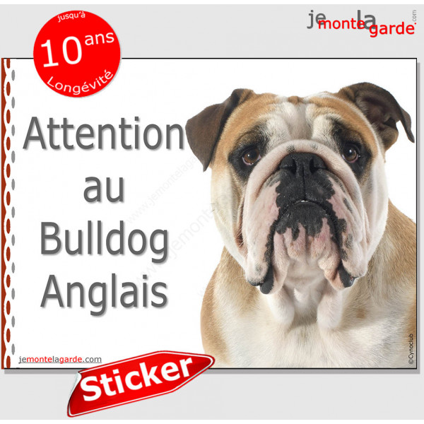 Bulldog Anglais fauve et blanc, panneau photo autocollant "Attention au Chien" pancarte sticker adhésif race Bouledogue GB