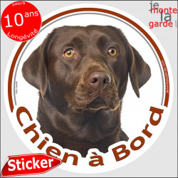 Labrador Chocolat marron brun Tête, sticker autocollant rond "Chien à Bord" disque adhésif photo vitre voiture