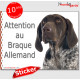 Braque Allemand, panneau photo autocollant "Attention au Chien" pancarte sticker adhésif