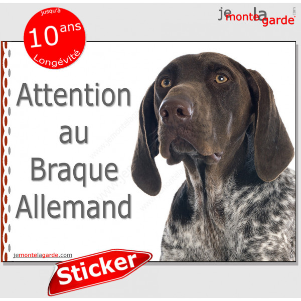Braque Allemand, panneau photo autocollant "Attention au Chien" pancarte sticker adhésif