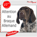 Braque Allemand, autocollant "Attention au Chien" 16 cm