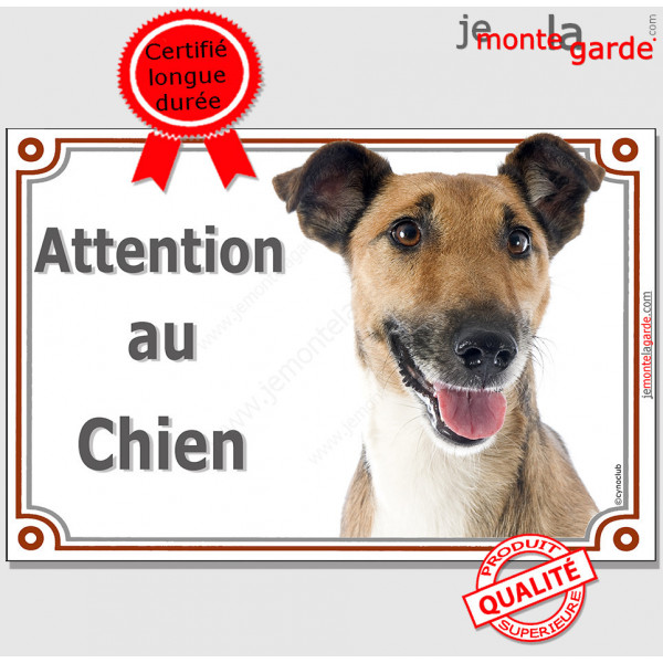 Fox Terrier à poils lisse, plaque portail "Attention au Chien" pancarte panneau photo affiche rue