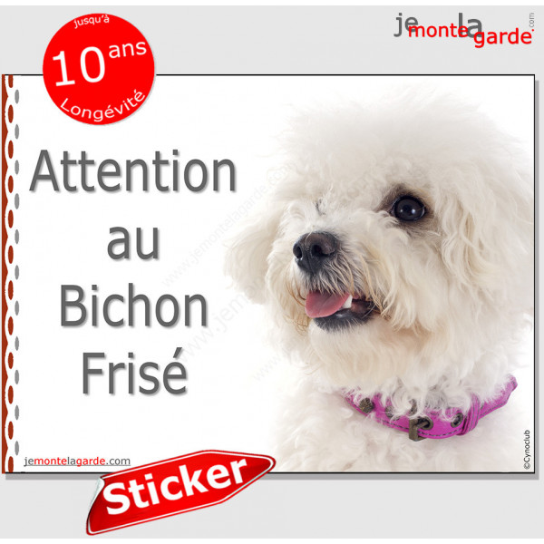 Bichon Frisé, panneau autocollant "Attention au Chien" pancarte sticker photo adhésif porte entrée boîte aux lettres