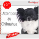 Chihuahua bicolore noir et blanc à poils longs, panneau photo autocollant "Attention au Chien" pancarte sticker porte entrée boi