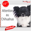 Chihuahua, autocollant "Attention au Chien" 16 cm