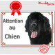 Terre Neuve noir, plaque portail "Attention au Chien" pancarte panneau photo