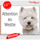 Westie, panneau photo autocollant "Attention au Chien" pancarte sticker adhésif race West Highland White Terrier blanc