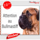 Bullmastiff fauve, panneau photo autocollant "Attention au Chien" Pancarte sticker adhésif