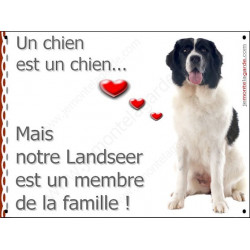 Landseer Assis, Plaque Portail un chien est un chien, membre de la famille, pancarte, affiche panneau