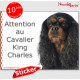 Cavalier King Charles noir et feu, panneau photo autocollant "Attention au Chien" pancarte sticker adhésif