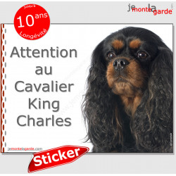 Cavalier King Charles noir et feu, panneau photo autocollant "Attention au Chien" pancarte sticker adhésif