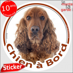 Cocker Anglais Spaniel Golden, sticker autocollant rond "Chien à Bord" roux marron, Disque adhésif vitre voiture photo