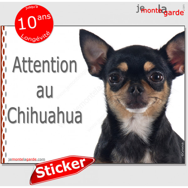 Chihuahua noir et feu à poils courts, panneau photo autocollant "Attention au Chien" Sticker adhésif porte portail entrée boite 