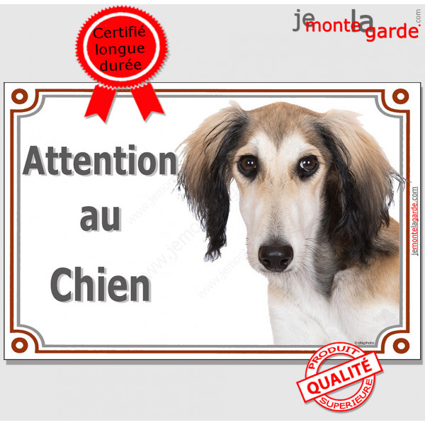 Lévrier Saluki fauve, plaque portail "Attention au Chien" pancarte panneau photo
