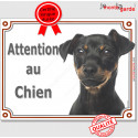 Pinscher, plaque "Attention au chien" 3 tailles LUX C